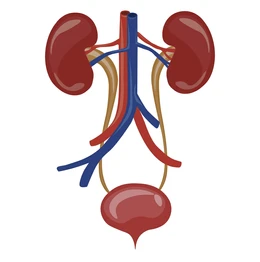 Urología
