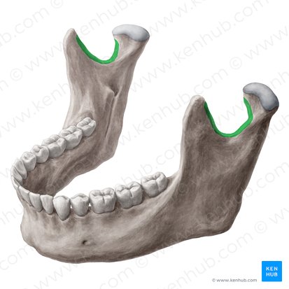 Cirugía Maxilofacial y Medicina Bucal
